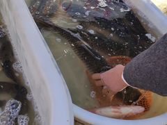 -江杨农产品批发市场