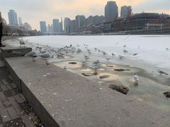 -海河游船(古文化街码头)