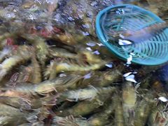 -聚盛源蒸汽海鲜火锅烤肉自助(巨川金海岸购物广场店)