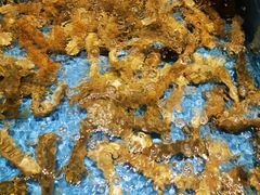 -百富源·海鲜辽菜(和平北大街店)