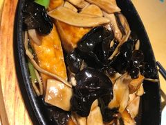 -素虎小呆鸟(西二旗店)