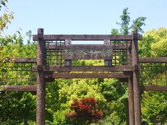 -苏州上方山国家森林公园