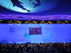 -上海海昌海洋公园-停车场