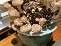 活体松香菇-捞王锅物料理(上海世茂广场店)