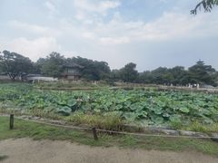 -景福宫