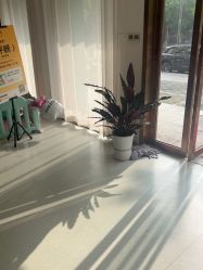点击看大图 -Dr.林醫生产后修复·配方产康店(南京大厂店)