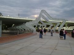 -演武大桥观景平台