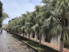 -厦门大学(思明校区)