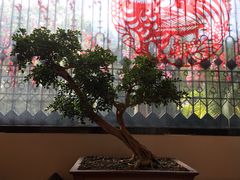 -陶然轩(沙面店)