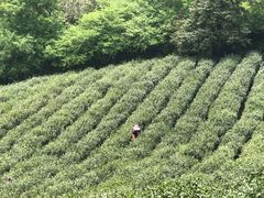 -敬亭山风景名胜区