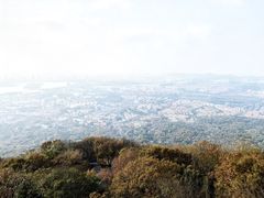 -紫金山山顶公园