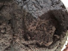 -浪琴湾尾角仔海鲜坊