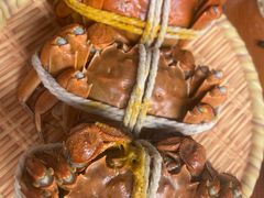 -丫丫蟹庄·苏式园林农家乐·阳澄湖大闸蟹(阳澄湖莲花岛店)