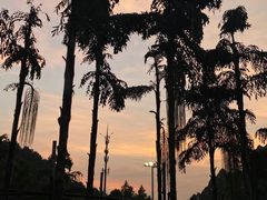 -重庆海昌加勒比海水世界