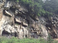 -芦芽山旅游度假区
