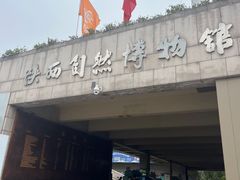 -陕西自然博物馆