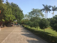 -南沙天后宫景区