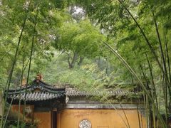 -天台山景区