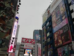 -秋叶原电器街