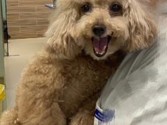 -爱侣宠医·鹦鹉专科·小型哺乳类·异宠专科(灵石路店)