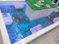 -孩子王(番禺万达广场店)