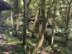 -富春桃源风景区