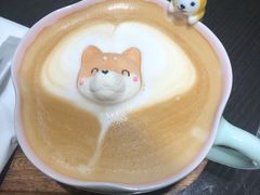 -逗柴咖啡屋·狗咖猫咖宠物桌游