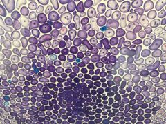 iphone_upload_pic-天津美术学院-校史馆