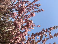 梦清园-苏州河梦清园环保主题公园