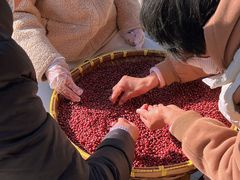 -太子山公园(园东路)