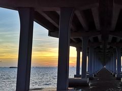 -宝安西湾红树林湿地公园