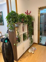 -丹漪·DANYI 美肤中心