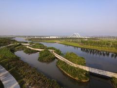 -春花秋色城市公园