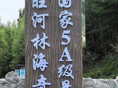 -汤旺河林海奇石景区