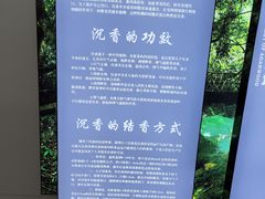 -呀诺达热带雨林