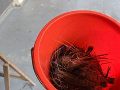 -光头佬室内钓虾场·烧烤·团建·亲子(中山八路店)