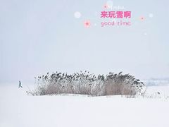 -人民防洪胜利纪念塔