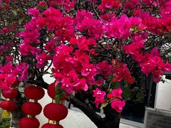 -田园山庄农家乐(石岩店)