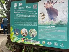 -海南热带野生动植物园