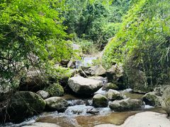 -南岳衡山风景名胜区