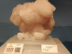 -贵州省地质博物馆