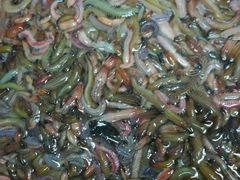 禾虫焗蛋-润记农家菜