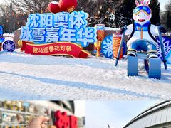 -沈阳奥体冰雪嘉年华