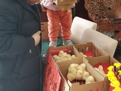 -兴芮温泉度假区