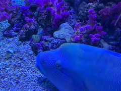 -欢乐海岸海洋奇梦馆