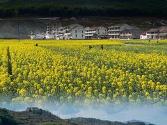 -泽雅景区