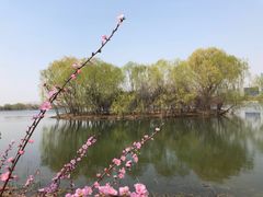 -大兴滨河森林公园