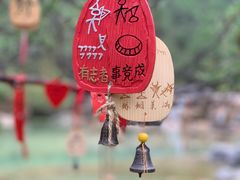 -玉龙雪山蓝月谷