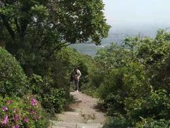 -杭州半山国家森林公园