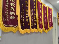 -瑞鹏宠物医院·骨外科·心肾科·肿瘤科(九亭店)